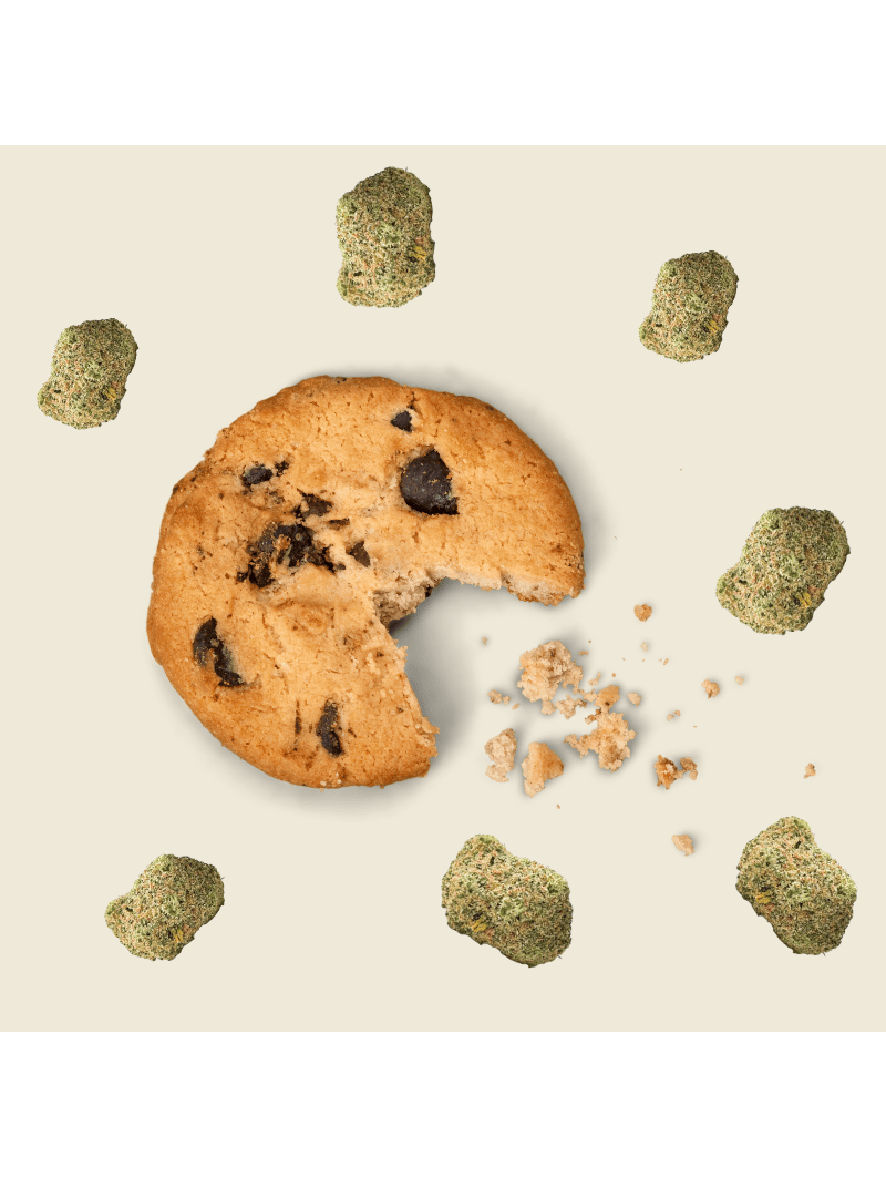 Cookie au chocolat – Delta 9 THC 75 mg | Le Lab du Bonheur  CBD