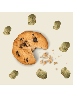 Cookie au chocolat – Delta 9 THC 75 mg | Le Lab du Bonheur  CBD
