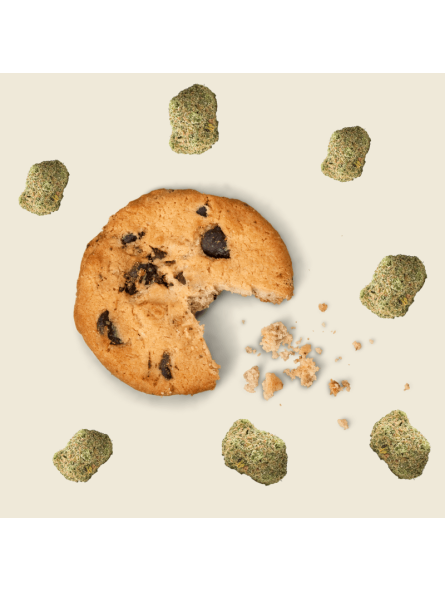 Cookie au chocolat – Delta 9 THC 75 mg | Le Lab du Bonheur  CBD