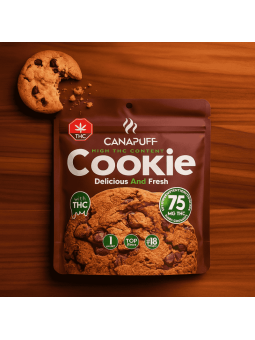 Cookie au chocolat – Delta 9 THC 75 mg | Le Lab du Bonheur  CBD