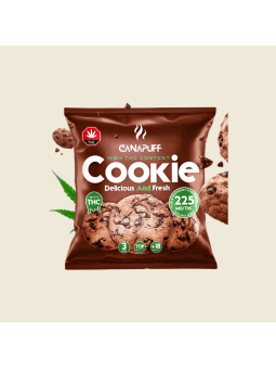 Cookie au chocolat – Delta 9 THC 75 mg | Le Lab du Bonheur  CBD
