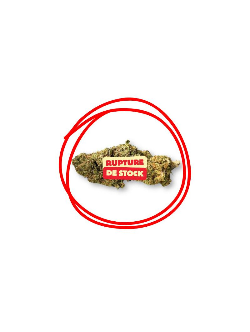 Fleur de CBD - L'Orangello  CBD