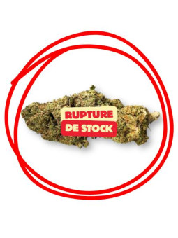 Fleur de CBD - L'Orangello  CBD