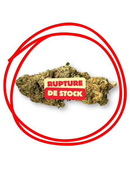 Fleur de CBD - L'Orangello  CBD