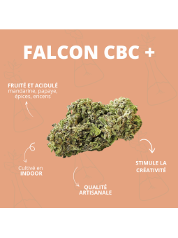Fleur - FALCON CBC +  CBD