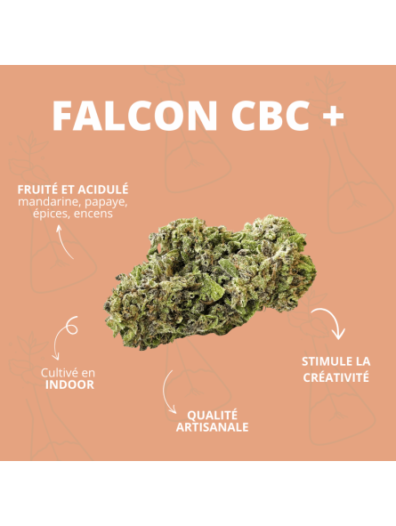 Fleur - FALCON CBC +  CBD