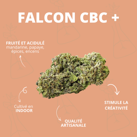 Fleur - FALCON CBC +  CBD