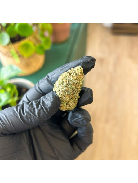Fleur de CBD - God Father OG  CBD