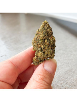 Fleur de CBD - La Cactus Diesel  CBD