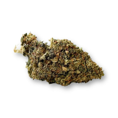 Fleur de CBD - La Cactus Diesel  CBD
