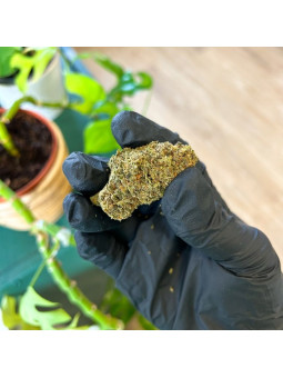 Fleur de CBD - Super Silver Haze  CBD