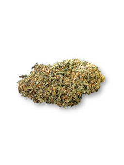 Fleur de CBD - Super Silver Haze  CBD