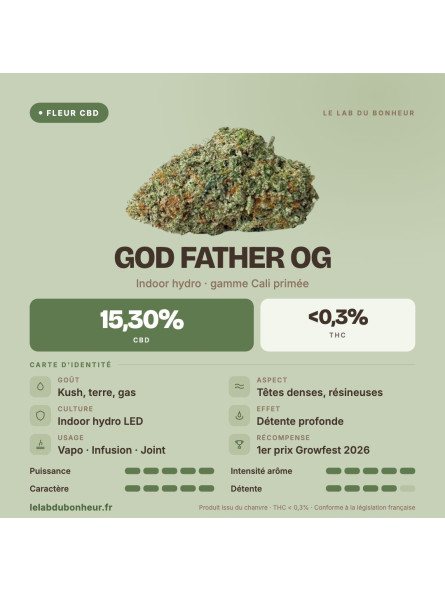 God Father OG – Fleur de CBD indoor d'exception primée