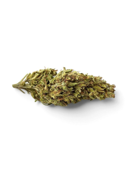Fleur de CBD - Maison LLDB n7 - La Bonheur