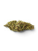 Fleur de CBD - Maison LLDB n7 - La Bonheur