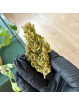 Fleur de CBD - Maison LLDB n7 - La Bonheur