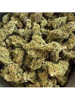 Fleur de CBD - Maison LLDB n7 - La Bonheur