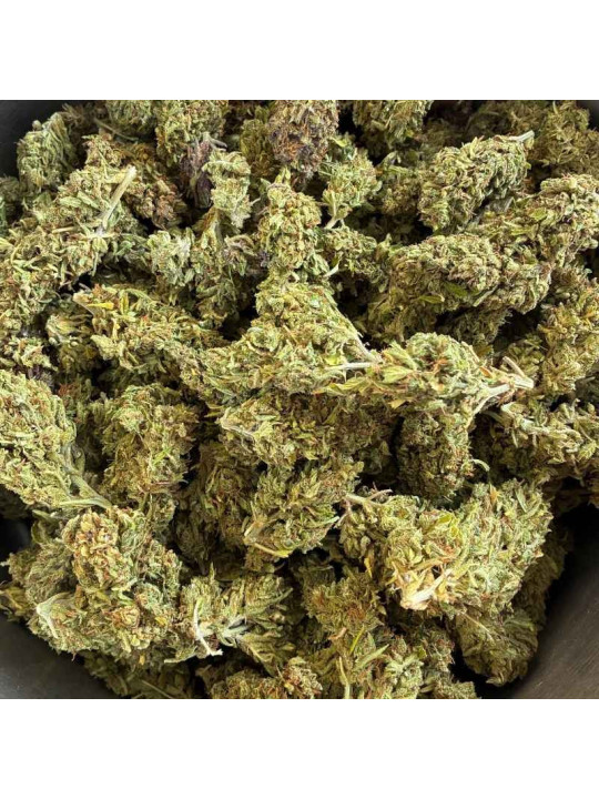 Fleur de CBD - Maison LLDB n7 - La Bonheur