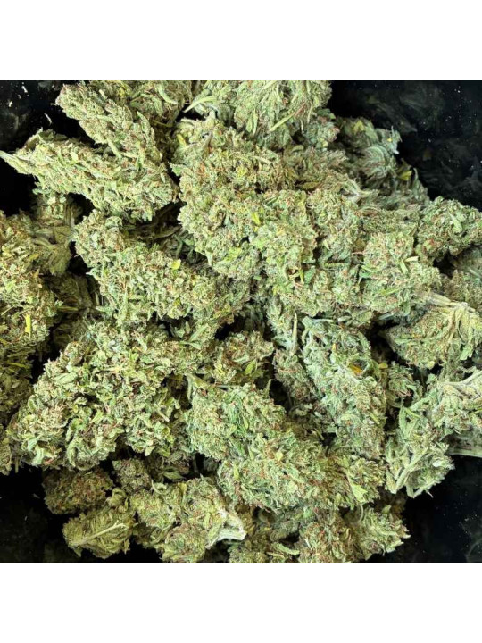 La Sauvage – Fleur de CBD Greenhouse Maison LLDB