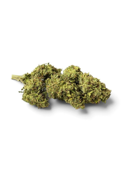 La Sauvage – Fleur de CBD Greenhouse Maison LLDB