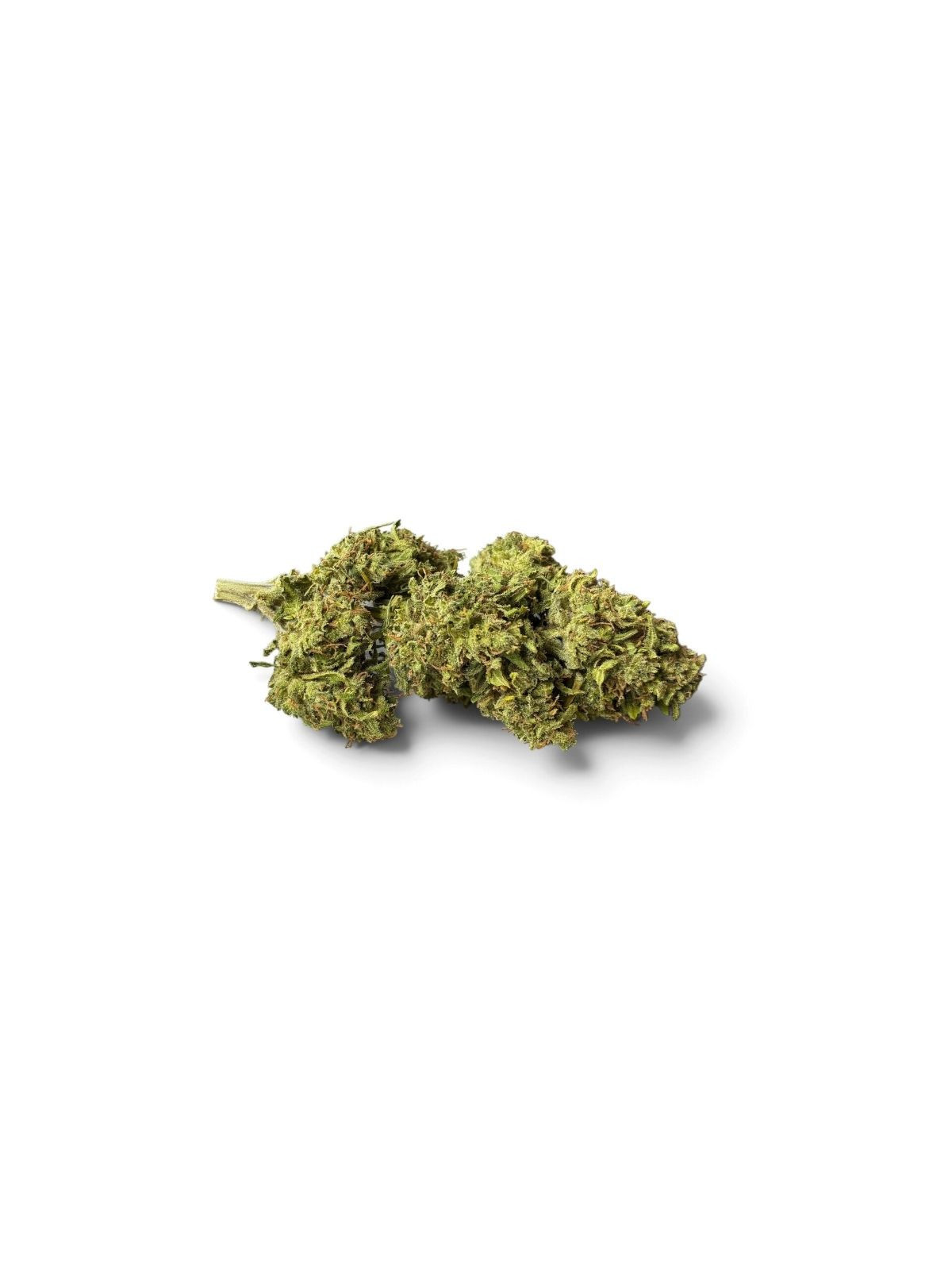 La Sauvage – Fleur de CBD Greenhouse Maison LLDB
