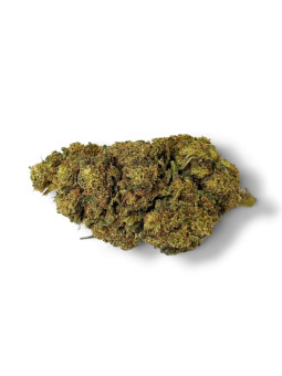 Fleur de CBD - La Blueberry