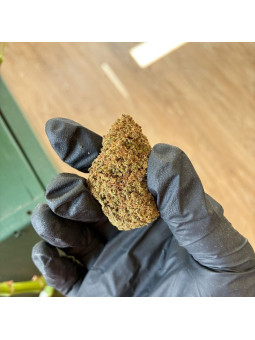 Fleur de CBD - La Candy