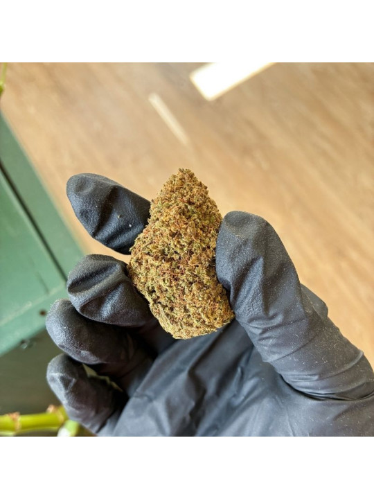 Fleur de CBD - La Candy