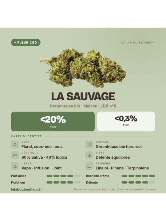 La Sauvage – Fleur de CBD Greenhouse Maison LLDB