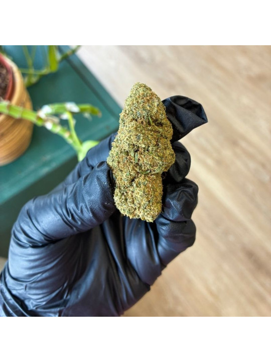 Fleur de CBD - La Cheese