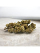 Fleur de CBD - La Pop indoor