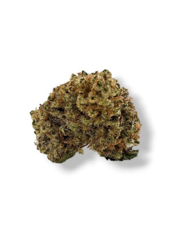 Fleur de CBD - La Pop indoor