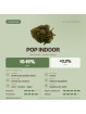 Pop Indoor – Fleur de CBD indoor small buds à petit prix