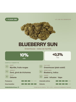 Blueberry Sun – Fleur de CBD greenhouse à la myrtille