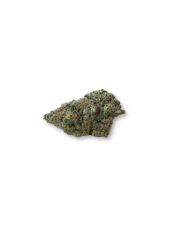 Pack découverte offert - Fleurs CBD primées Spannabis