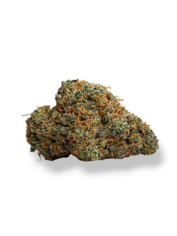 Drizzle in Dam – Fleur de CBD indoor primée MJ Cup 2026