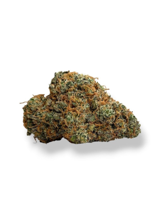 Drizzle in Dam – Fleur de CBD indoor primée MJ Cup 2026