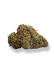 Drizzle in Dam – Fleur de CBD indoor primée MJ Cup 2026