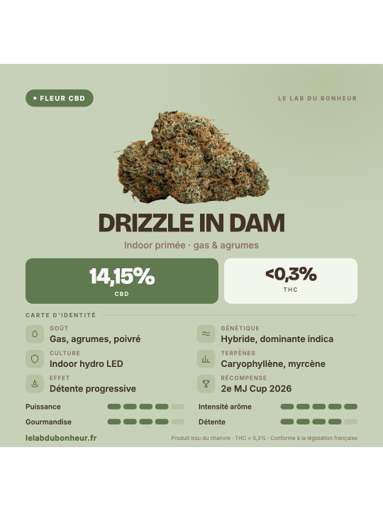 Fleur de CBD Drizzle in Dam indoor primée, 14,15 % de CBD