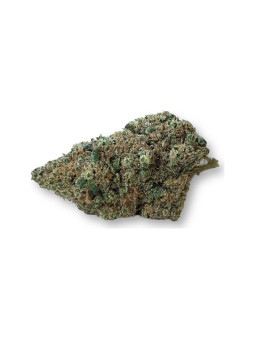 Pack découverte offert - Fleurs CBD primées Spannabis