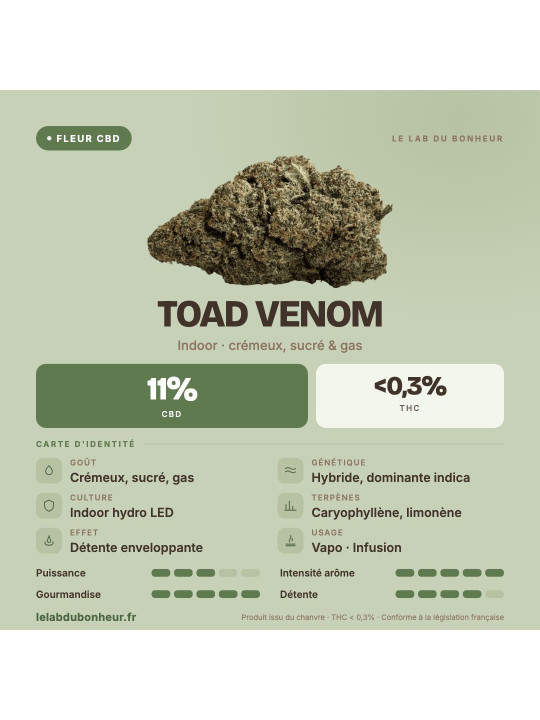 Toad Venom : fleur de CBD Cali indoor crémeuse & gas