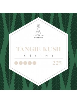 Résine de CBD - Tangie Kush CBD