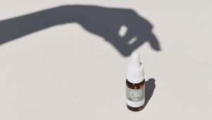 Réglementation & actualité