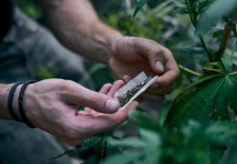 Quel filtre choisir pour rouler son joint de cannabis CBD ?
