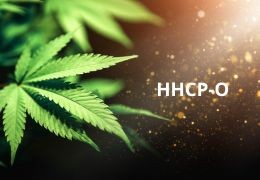 Qu’est ce que le HHCP-O : découvrez ce cannabinoïde fascinant