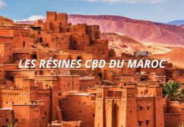 Résine CBD du Maroc : l’excellence du savoir-faire artisanal