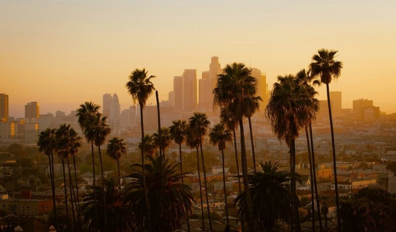 FLEURS CBD CALI : HISTOIRE ET SECRETS D'UNE CULTURE D'EXCEPTION