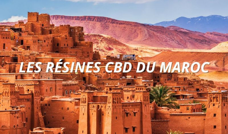 Résine CBD du Maroc : l’excellence du savoir-faire artisanal